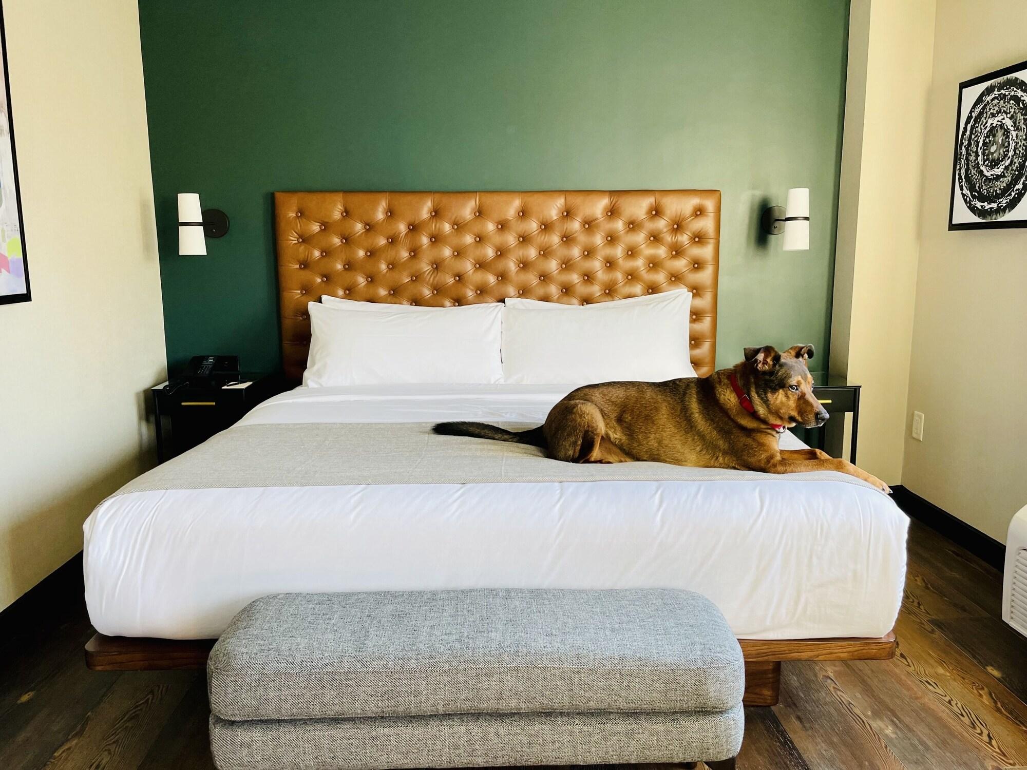 The Lloyd Stamford, Tapestry Collection By Hilton Hotell Exteriör bild